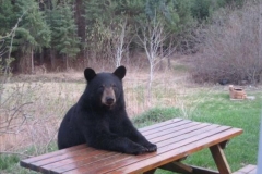 18839264_10212571388704335_1181997550806024557_n