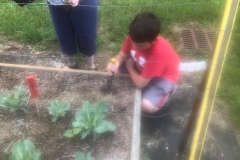 31961330_1780231508681845_8421776739641851904_n