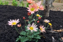 45619146_10216938434797758_7677359916838813696_n