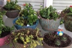 18157140_1509803939054282_1922789322831070511_n-e1551138034934